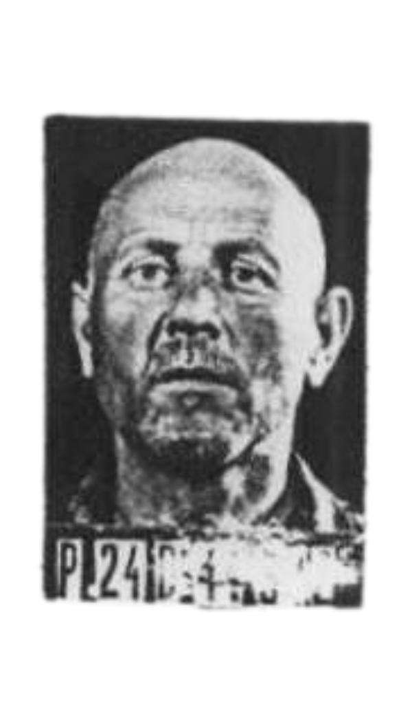 Chojnacki Henryk