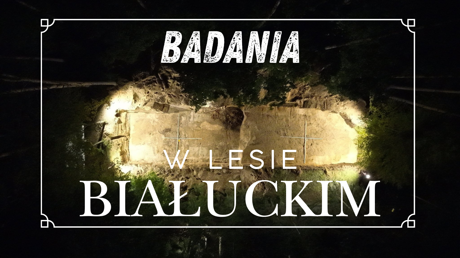 Kolejne badania w Lesie Białuckim